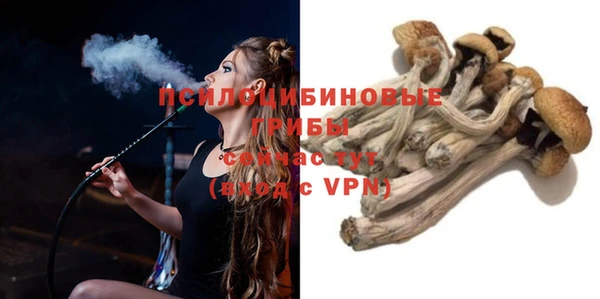 сатива Касимов