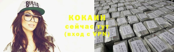 сатива Касимов