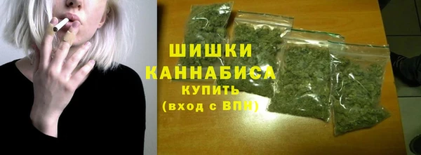 сатива Касимов