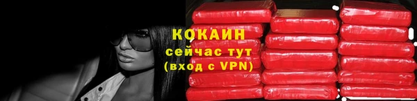 сатива Касимов