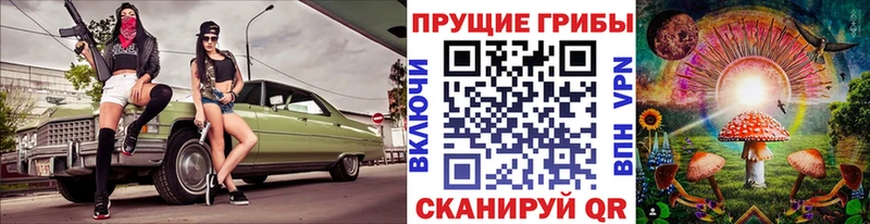 Купить  Бор  Галлюциногенные грибы мухоморы 